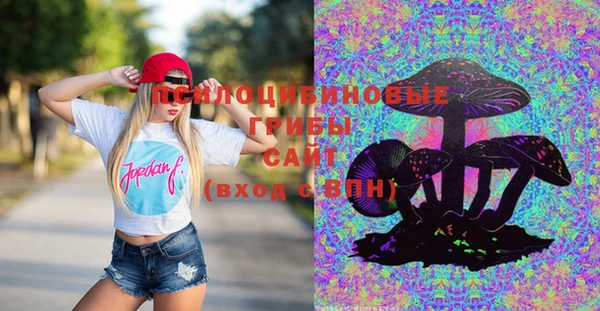 a pvp Новокубанск