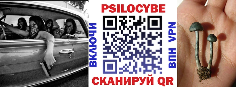 Псилоцибиновые грибы мухоморы  Купить где  Краснослободск 